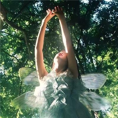 罗布泊之九龙天棺